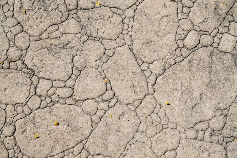 Decorative Concrete Repair in Sarasota, FL